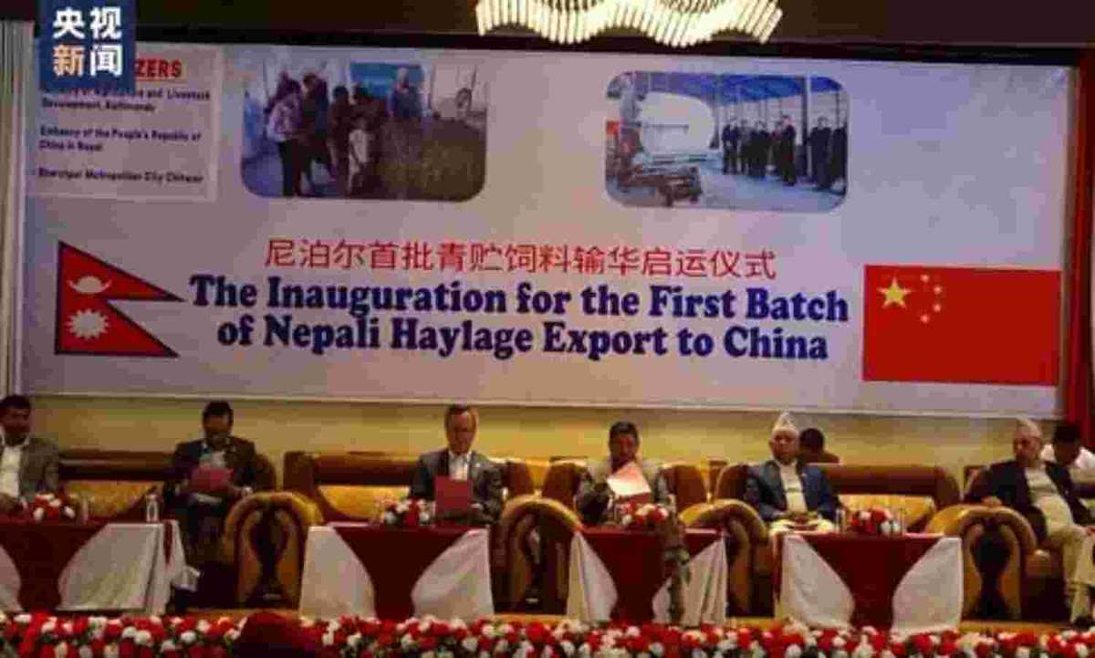 नेपाल से पहली बार चीन को हेलेज चारा का निर्यात नेपाल से पहली बार चीन को हेलेज चारा का निर्यात